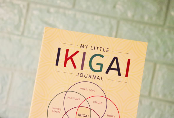 Team Building Sostenible Ikigai Empresarial